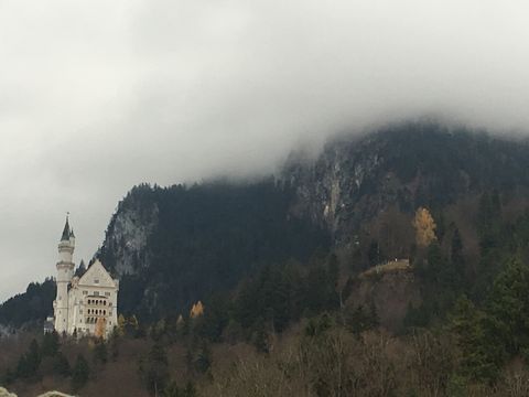Mystical Castle Neuschwanstein with fog