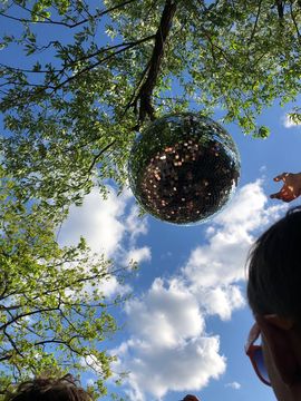 Mirror ball hanging from a tree outdoors