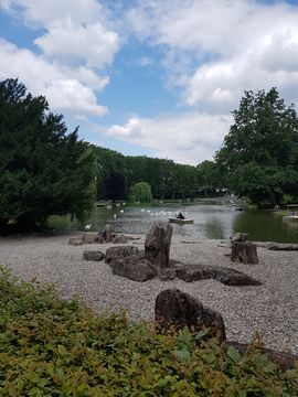 Picture of a landscape in the zoo