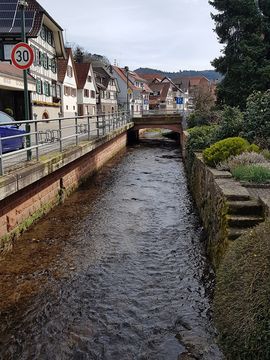 A small river in the town centre of Durbach