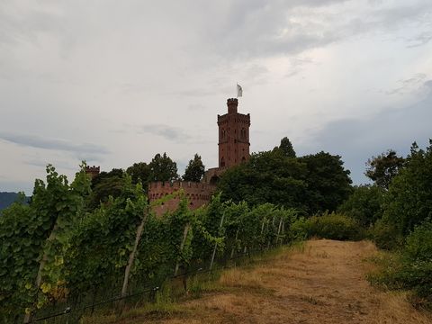 View of Ortenberg Castle