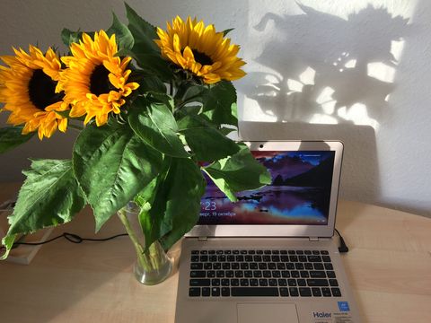 A laptop and a vase with sunflowers on a desk