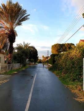 The view into a street in Cyprus, it has rained, but the sun is shining.