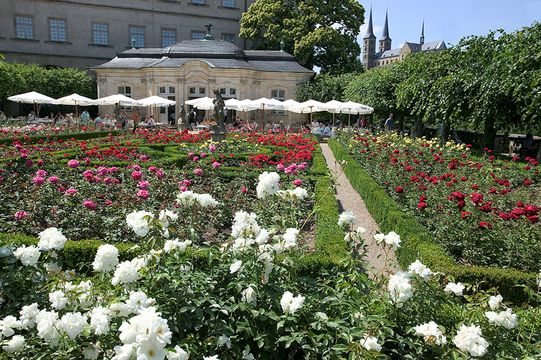 The rose garden in the castle © BAMBERG Tourismus & Congress Service