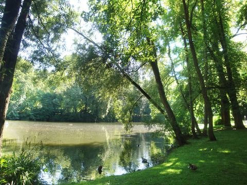 Aachen's idyllic Westpark, which many students use to relax. © Bauz/DAAD