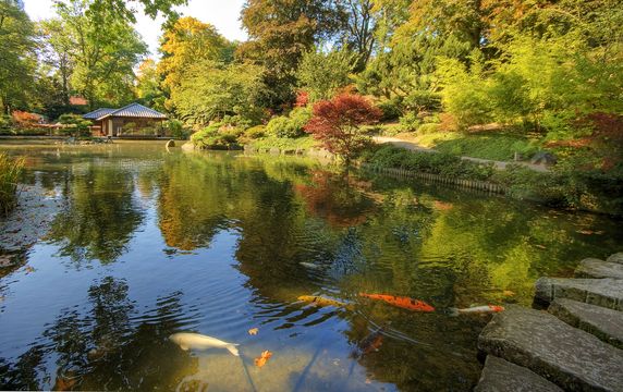 Japanese garden © Wolfgang Staudt