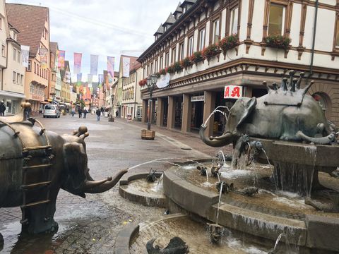 The trout fountain in front of the Old Town Hall in the pedestrian zone