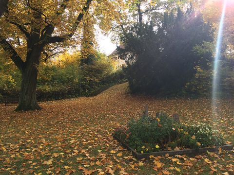 Der Stadtpark im Herbst