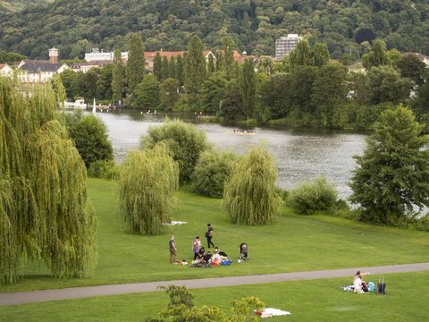 A meadow at the river Necker in Heidelberg
