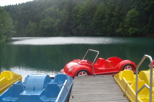 Ships in the shape of cars on the Schöngrundsee