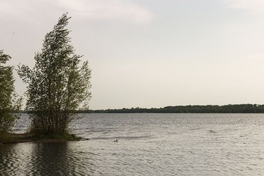 View onto the lake