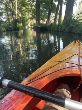 Point of view: View from a canoe of the canals in the Spreewald, surrounded by lots of trees and greenery.