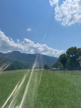 A beautiful summer's day: you can see green meadows and trees, with mountains in the background. The sky is blue and the sun is shining.