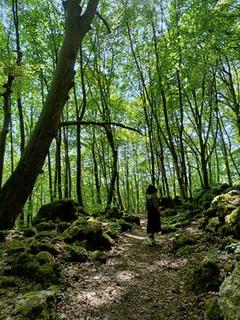 A women walking through a green forest