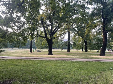 View of a green park, you can see a wide area with a green meadow surrounded by green trees.