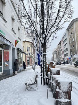 Snowy city of Ludwigshafen.