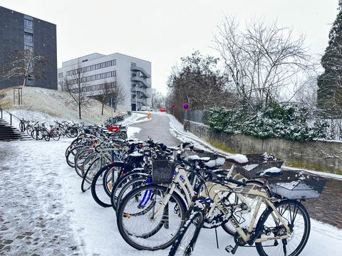 A long row of bicycles are parked in the snow in front of the university buildings.