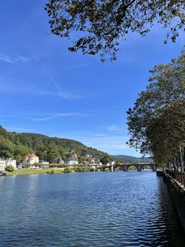 The Neckar, the river that flows through the middle of Heidelberg.