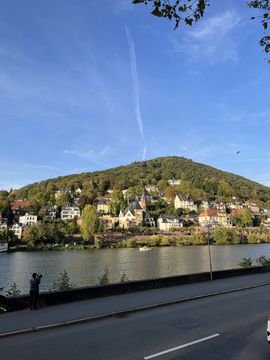 The view over the Neckar to Heidelberg.