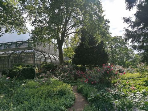 Palmengarten in Frankfurt am Main.