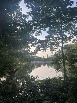 The view of a lake, the view is framed by trees and greenery.