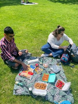 Picnic with friends