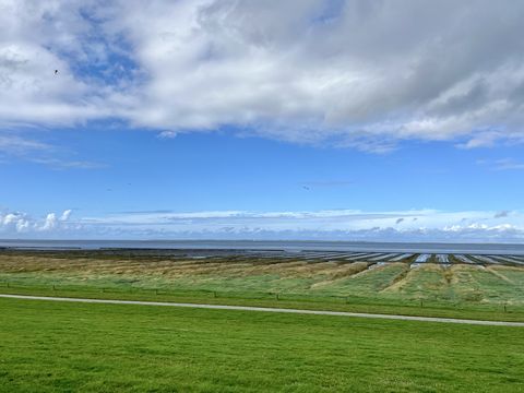 View from a dyke to the North Sea with birds coming and going.