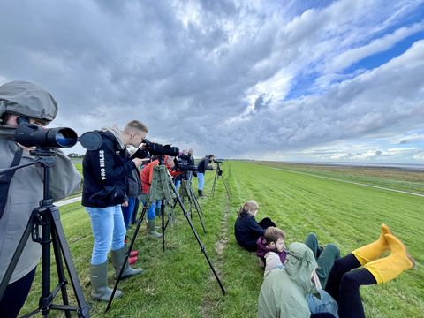 People bird watching.