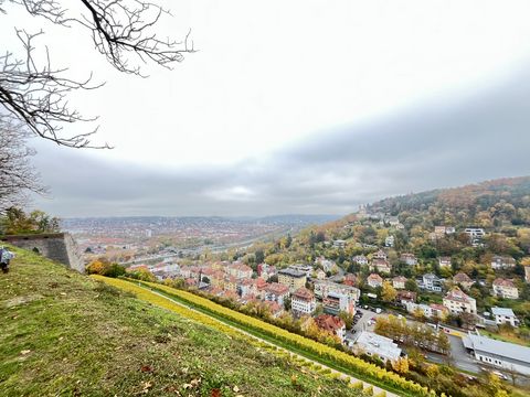 View from above over Würzburg.