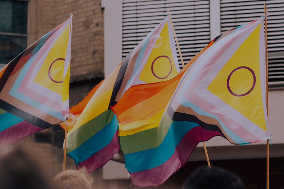 LGBTQAI+ flags