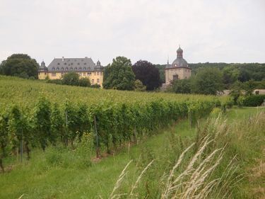 Oestrich-Winkel View of Vollrads Castle © Marlene Bauz