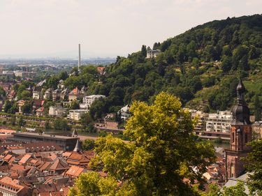 Das Panorama von Heidelberg