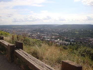 View of Pforzheim from the Wallberg © Bauz / DAAD